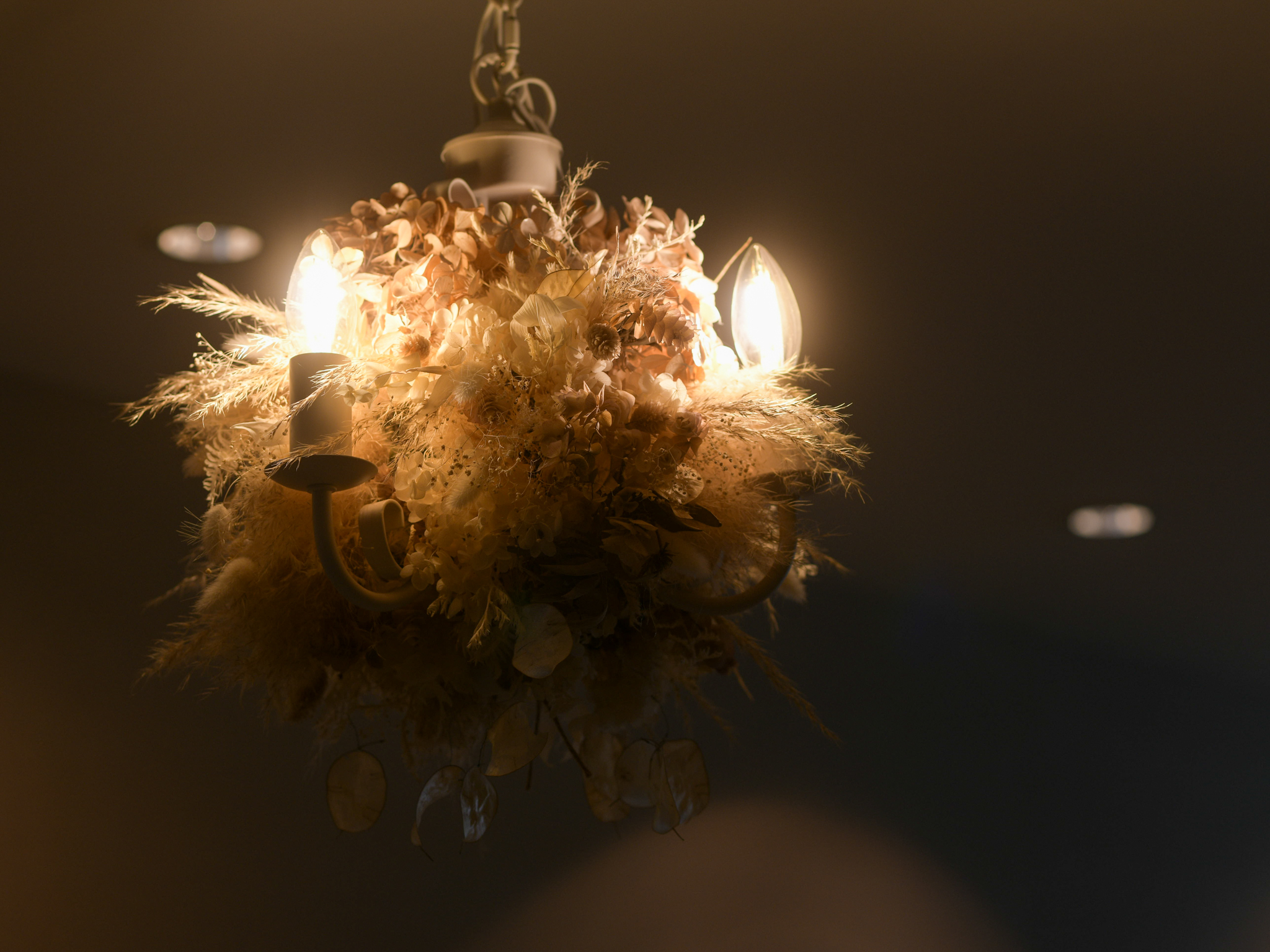 IMG_9286